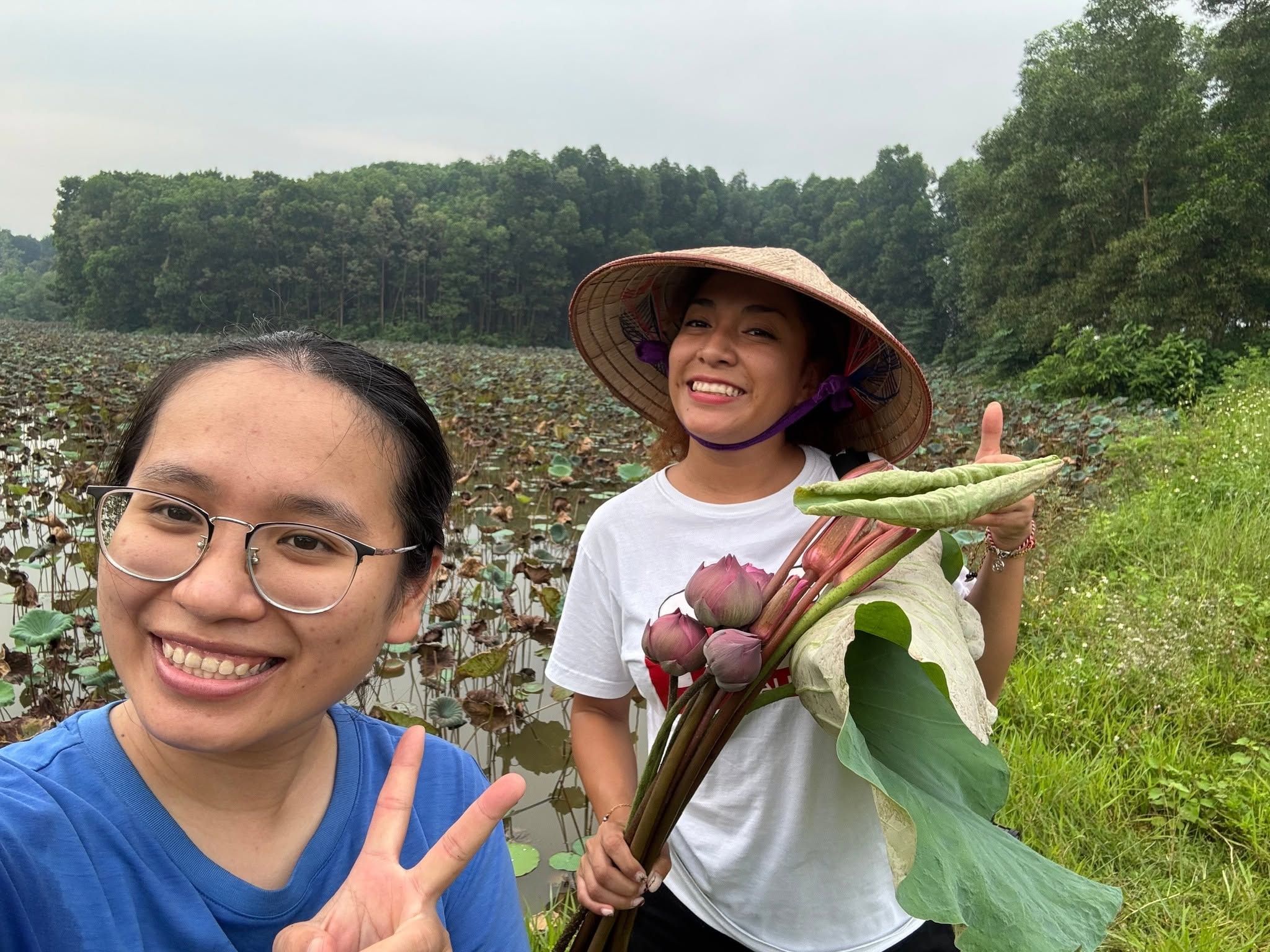 Hai chị em đi sang ao sen nhà Bác Cương hái hoa