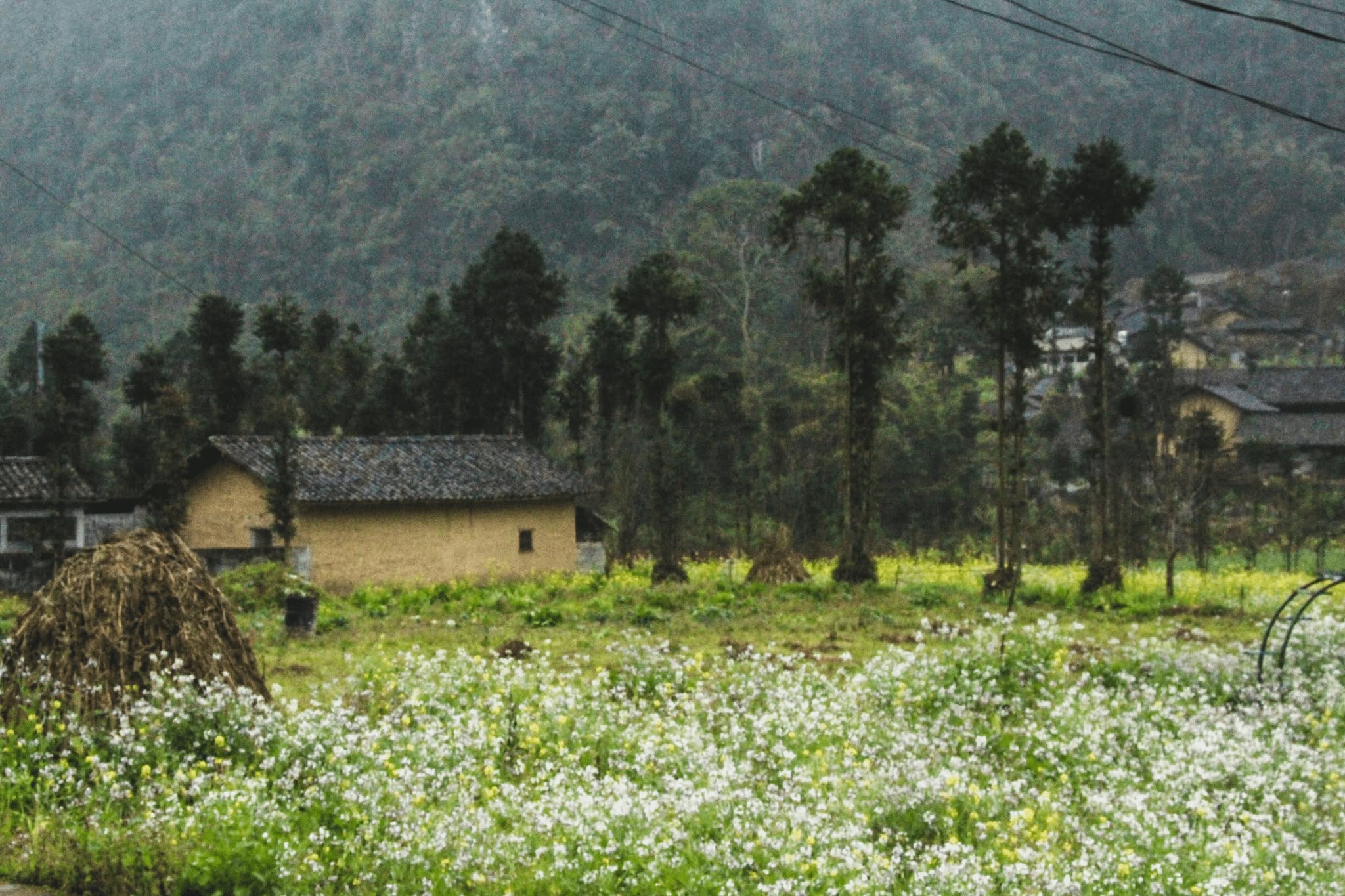Thung lũng Sủng Là, mờ ảo trong cơn mưa lạnh
