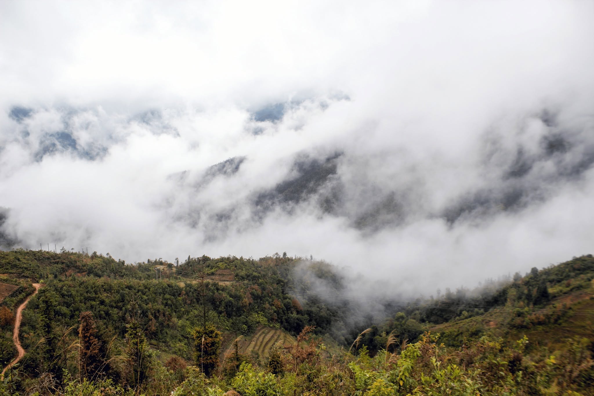 Biển mây trên đường