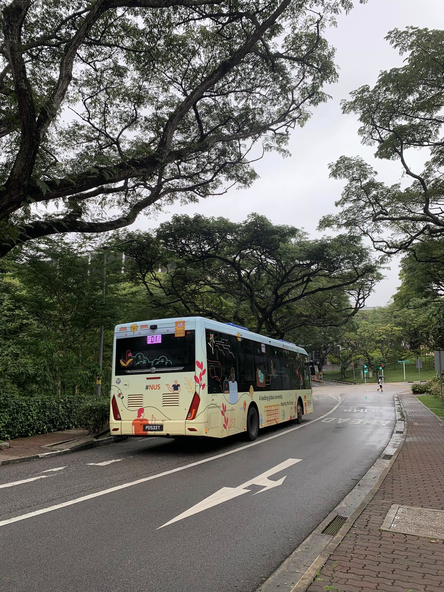 Một mình dạo quanh khuôn viên NUS