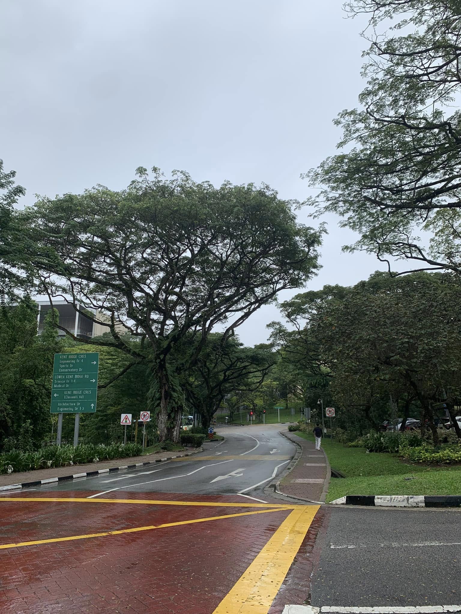 Khuôn viên đầy những cây xanh