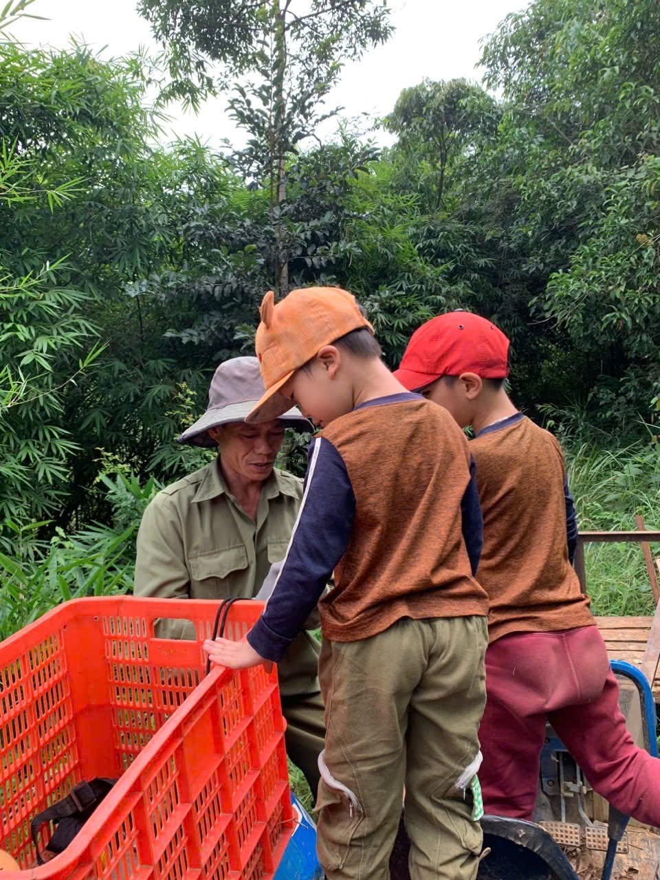 Chuẩn bị sẵn sàng đi rừng